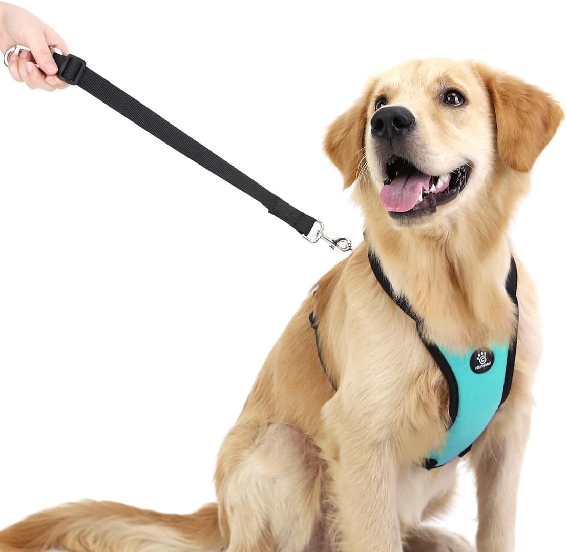 Dog Seat Belt, Safety Vest Dog Car Harness with Adjustable Buckle Dog Seat Belt for Vehicle Nylon Pet Safety Seat Belts Heavy Duty(M, Blue) - Pet Explorer