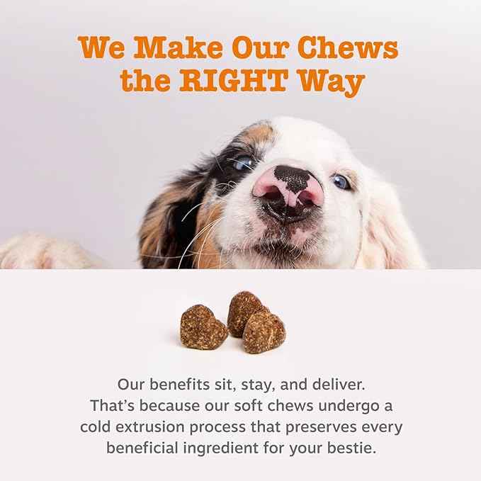 Zesty Paws Dog Allergy Relief Chews, Dog Probiotics for Itchy Skin and Ears, Salmon, 90ct (Pack of 2)