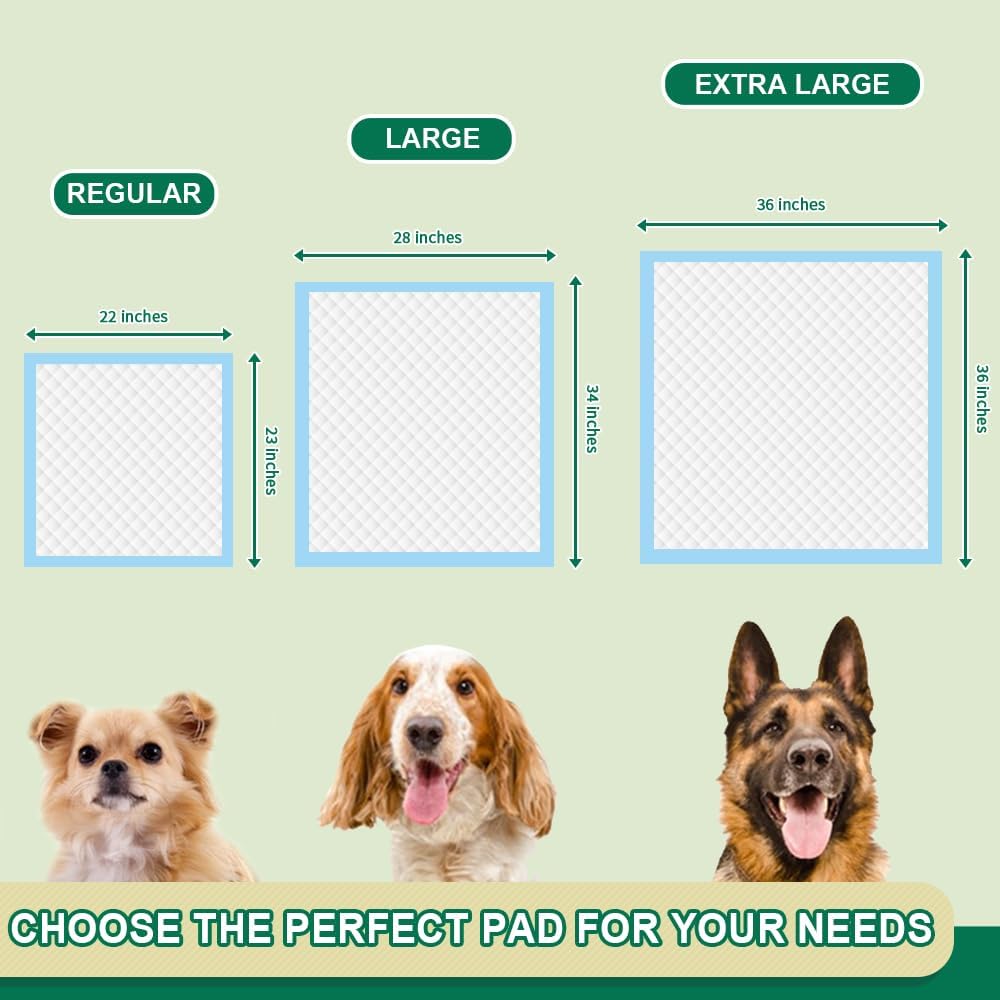 IMMCUTE Puppy Pads 22"x23" 100 Count | 6-Layer Leak-Proof & Super Absorbent Dog Training Pads | Disposable Potty Pads for Puppies, Dogs, Cats & Rabbits | Blue & White - Pet Explorer