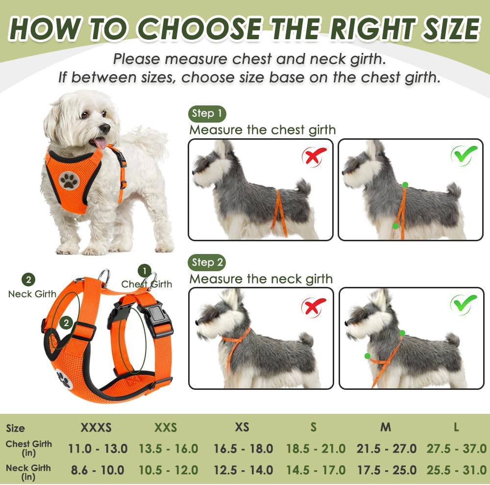 SlowTon Dog Seat Belt Harness for Car, Dog Car Harness Adjustable Mesh Breathable & Dog Seatbelt Safety Tether with Elastic Bungee for Small Medium Large Pets(Orange, Double Clip, XXS) - Pet Explorer