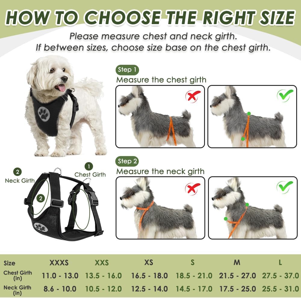 SlowTon Dog Seat Belt Harness for Car, Dog Car Harness Adjustable Mesh Breathable & Dog Seatbelt Safety Tether with Elastic Bungee for Small Medium Large Pets(Black, Single Clip, XXXS) - Pet Explorer