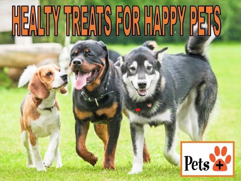 Pets Plus Premium Dog Treats ā Chicken Jerky, 6 oz | All-Natural, High-Protein Dog Chews, Grain-Free Healthy Treats for Training, Rewards & Dental Support