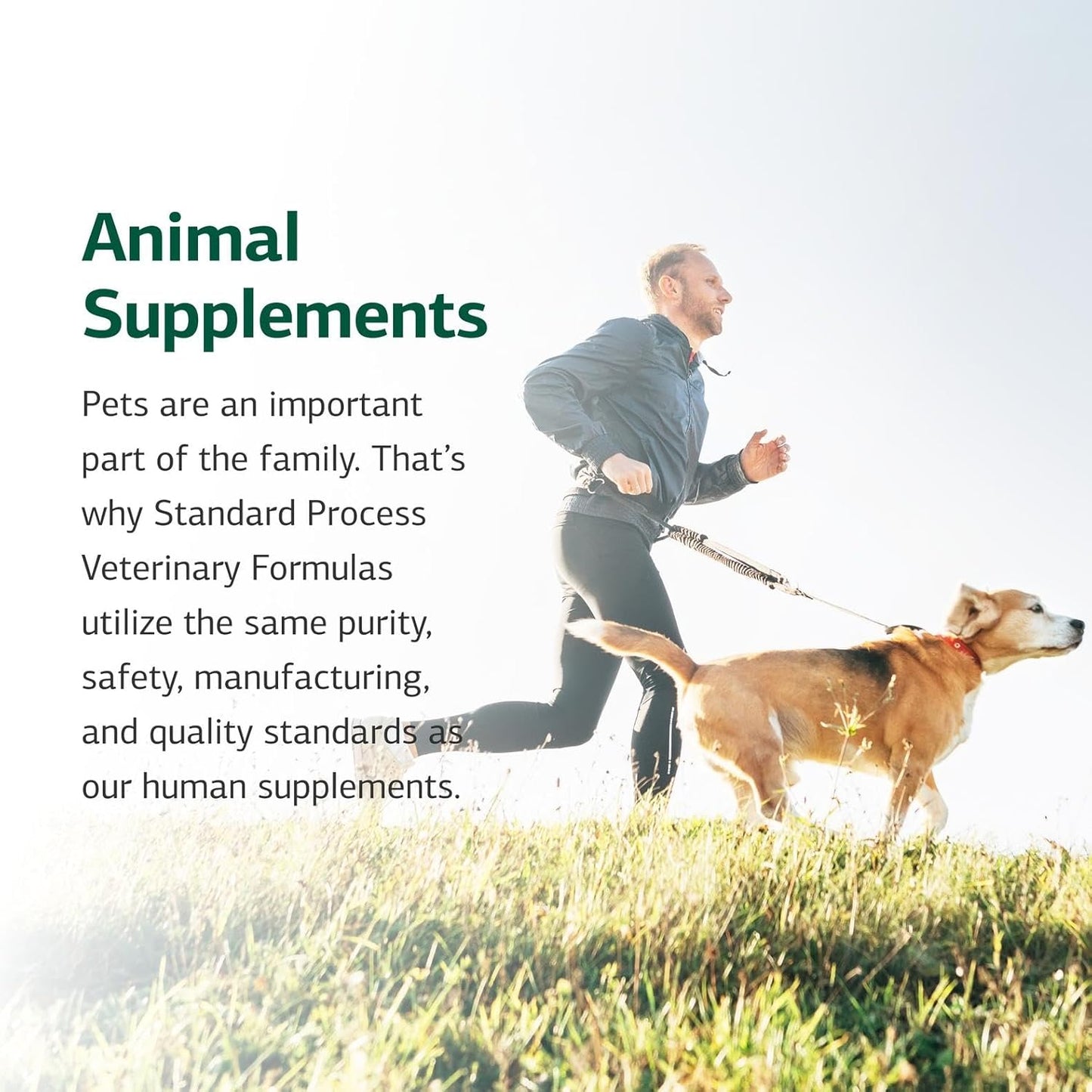 Standard Process Inc. VF Thymex for Pets - Cat & Dog Immune System Support Supplement - Thymus Supplement to Aid Canine & Feline Immune Health - Supplement with Vitamin C - 90 Tablets - Pet Explorer