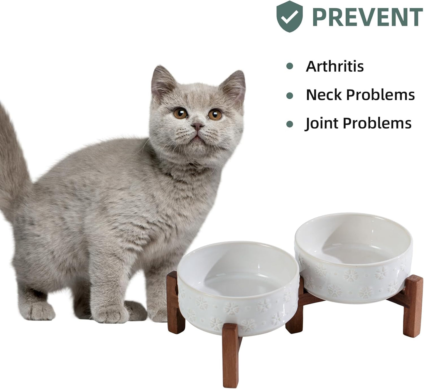 Ceramic 5.1inch Raised Double Bowls Set with Acacia Wood Stand, 2 Heights Elevated, Food & Water Bowls for Puppy, Kitty, Cats(13.5oz, Arctic White) - Pet Explorer