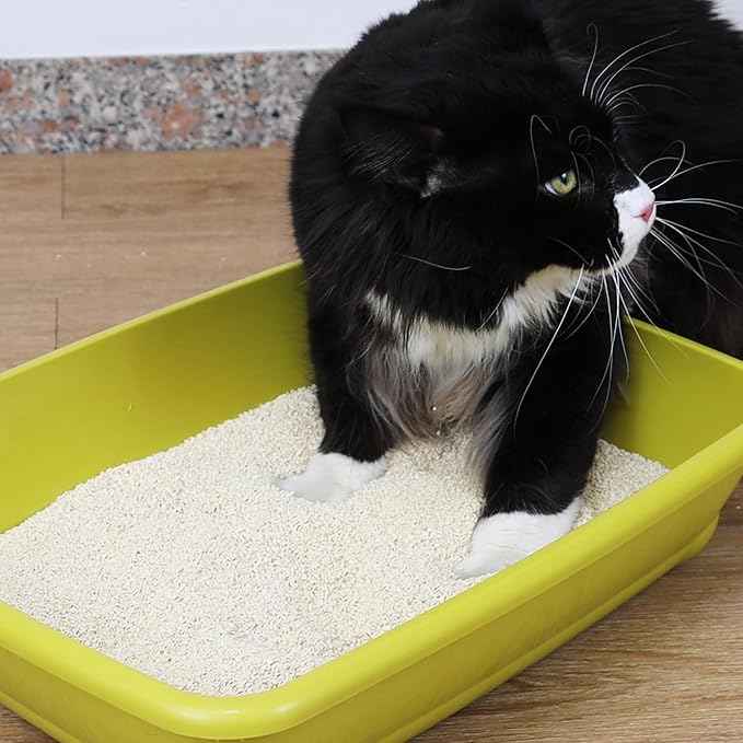 Croci Tofu Clean Cat Litter, 10 litres, 4.5 kg