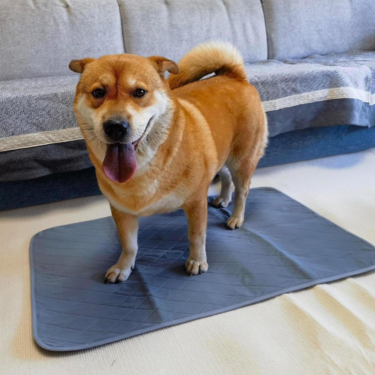 Washable Puppy Pee Pad for Dog Potty Training (Replacement Pee pad) - Pet Explorer