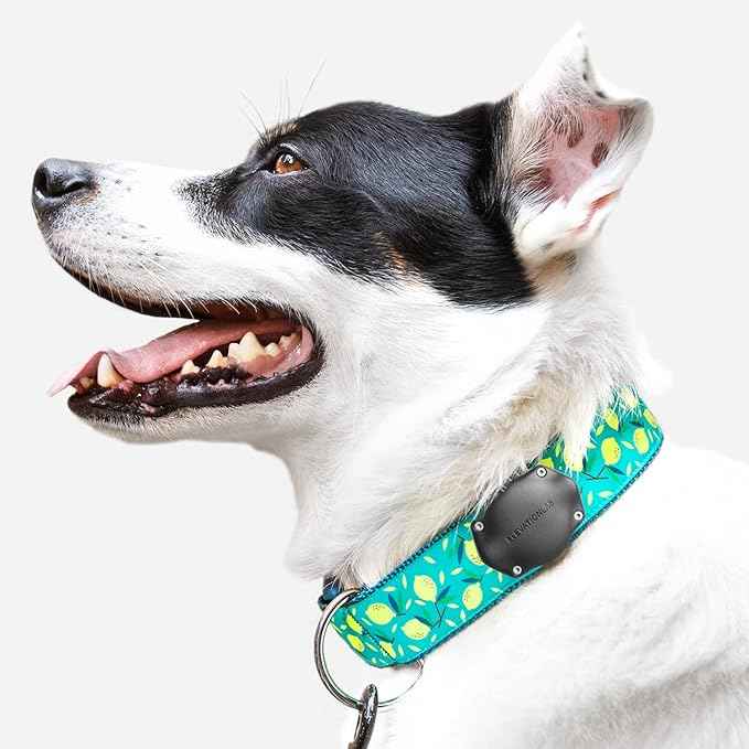 Elevation Lab AirTag Dog Collar Holder - TagVault™ - Secure Thru-Mount, IP69 Waterproof, Doesn't Dangle, Fits All Width Collars (2 Pack)