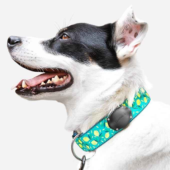 Elevation Lab AirTag Dog Collar Holder - TagVault™ - Secure Thru-Mount, IP69 Waterproof, Doesn't Dangle, Fits All Width Collars