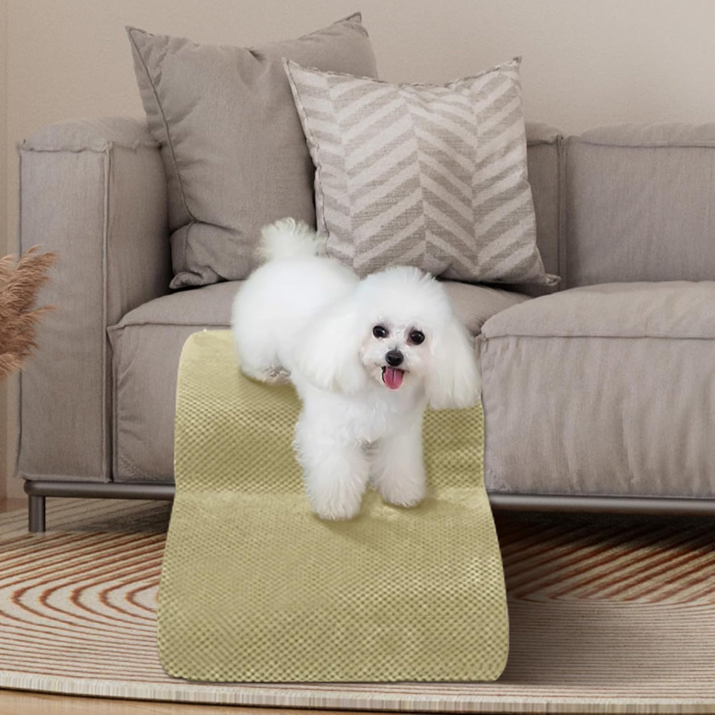 Dog Stairs for Small Dogs - High Density Foam Pet Steps, Extra Wide Dog Ramp with Non-Slip Bottom for High Beds, Couch and Sofa, Best for Dogs Injured, Older Doggy Cats,2 Steps, Camel - Pet Explorer