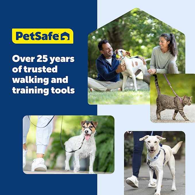 PetSafe Come With Me Kitty Cat Harness & Bungee Leash - Comfortable Cat Harness with Lightweight Bungee Leash for Outdoor Fun - More Secure Walks - Small - Dusty Rose