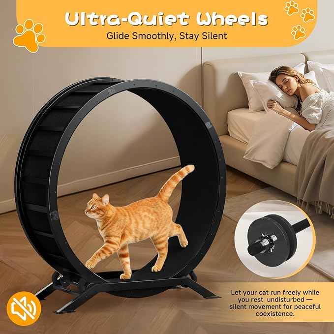 GTPLAYER Cat Wheels, Large Cat Exercise Wheel for Indoor Cats, 40"Diameter cat treadmill Detachable Carpet & Teaser, stickers, Ultra-quiet scroll wheel With latch, Suitable for Most Cats, Metal, Black