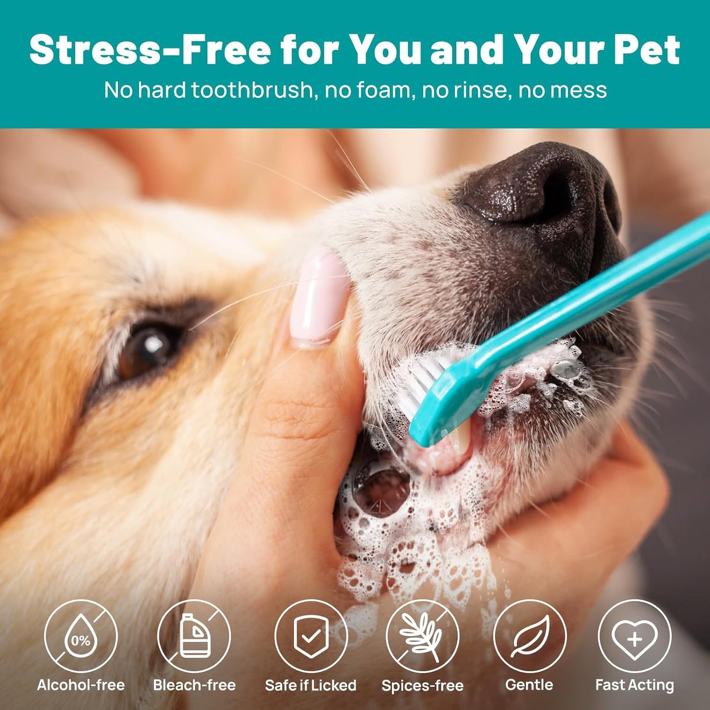 Dog Dental Care Wipes - Cat & Dog Teeth Cleaning Finger Wipes - Tooth Brushing Kit Dental Wipes - Reduces Plaque & Freshens Breath, Honey Scent - Pet Explorer