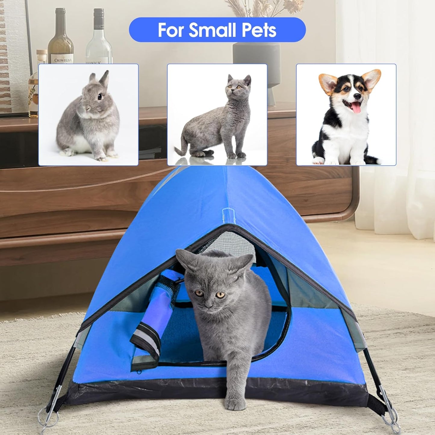 Cat Camping Tent, Cat Tent Bed, Pet Tent for Indoor Cat and Small Dog, Mini Tent (Blue, 21 x 21 x 14 Inches) - Pet Explorer