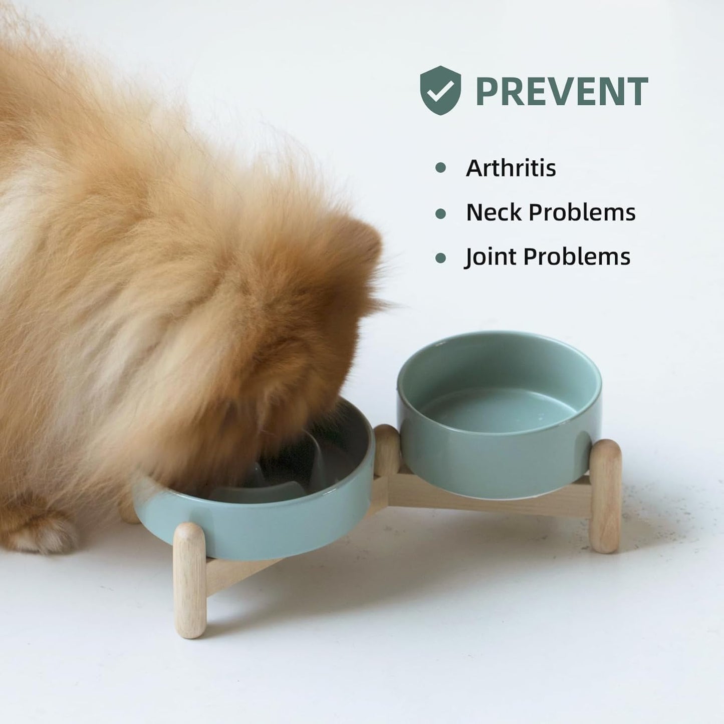 Ceramic Raised Slow Feeder Dog Bowl Set, Elevated 5.1inch Bowl and 6.1inch Puzzle Slow Pet Food Dish with Wooden Stand for Small Dog and Cat, Anti-Gulping (2X Light Green+ Stand) - Pet Explorer