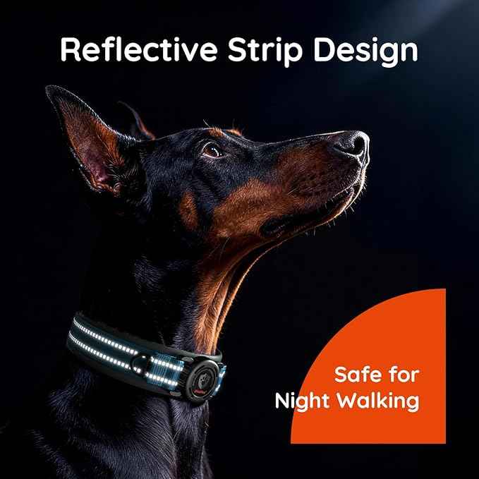 Upgraded AirTag Dog Collar with Holder, Waterproof Reflective Air Tag Dog Collar with Widened Comfortable Padding & Ultra-Durable Metal Buckle, Adjustable for Medium (Blue, Small)