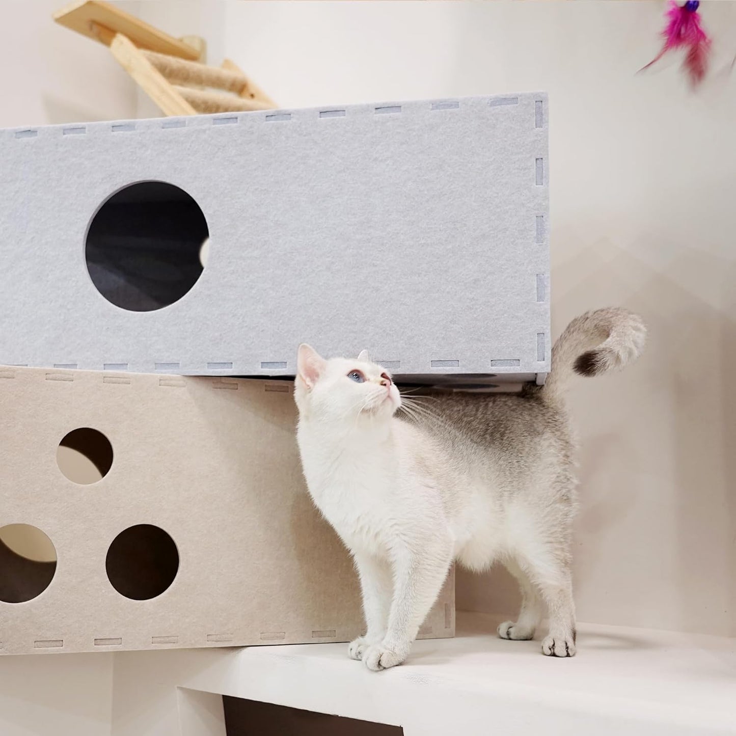 PETKARAY Cat Tunnel, Original Cat Hideaway Cave for Indoor Cats, Large Kitten Play Tubes and Tunnels, Soft Felt Cat Toy with Interactive Peek Hole - Pet Explorer