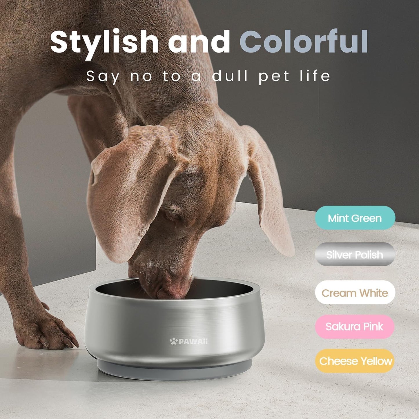 Pawaii Stainless Steel Dog Bowl with Non-Slip Rubber Base & Double Wall Insulation - Durable Design | Includes ID Tag | Dishwasher Safe Food & Water Bowl for All Dogs (34oz) - Pet Explorer