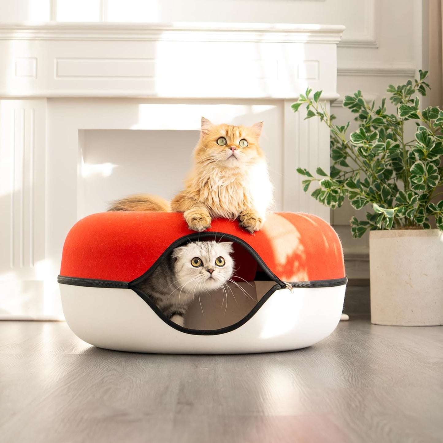 Cattasaurus Peekaboo Cat Cave, Extra Spacious for Multiple & Large Cats 12+ lbs, Scratch Detachable Cat Beds for Indoor Cats, Washable Tunnel Bed, Comfy Cat Donut Tunnel (Ruby Snowball, Jumbo) - Pet Explorer