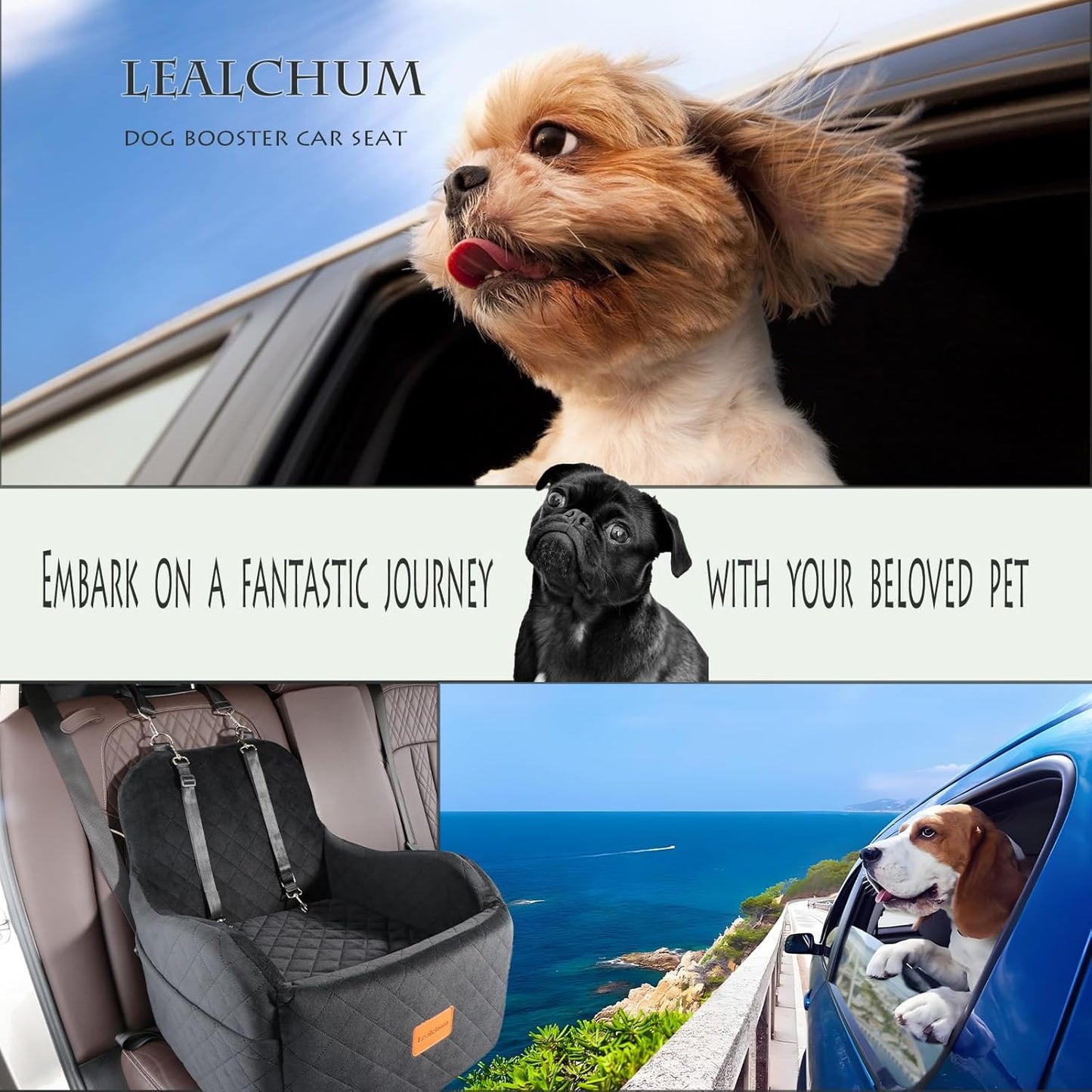 Dog Booster Car Seat for Small/Medium Dogs Up to 35lbs,Elevated Cushion Fits in Front/Back Seat,Fully Detachable and Washable,2 Storage Pockets & Dog Leashes,Easy to Install(Black,Medium) - Pet Explorer