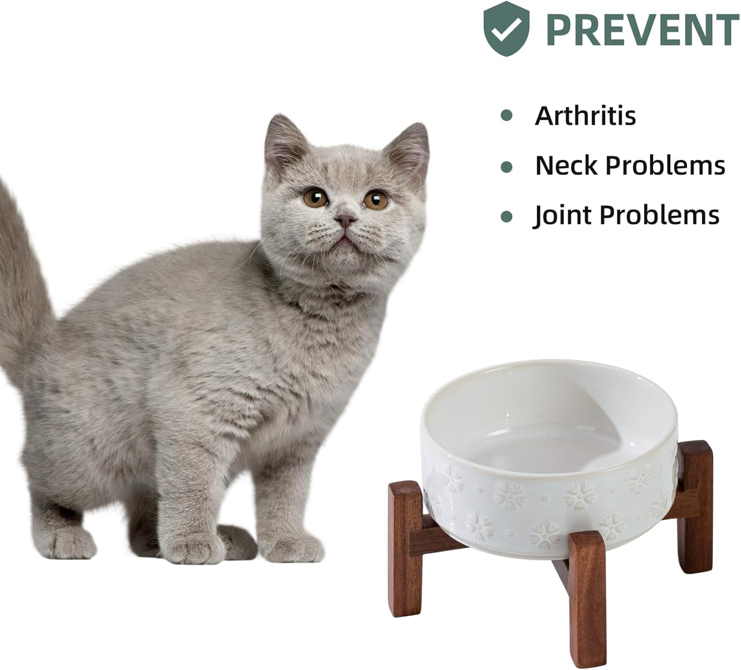 Ceramic 5.1inch Raised Dog and Cat Bowl Set, 2 Heights Elevated Wooden Stand for Puppy, Kitty, Cats, Weighted Pet Food and Water Dishes(5.1'',13.5oz, Arctic White) - Pet Explorer