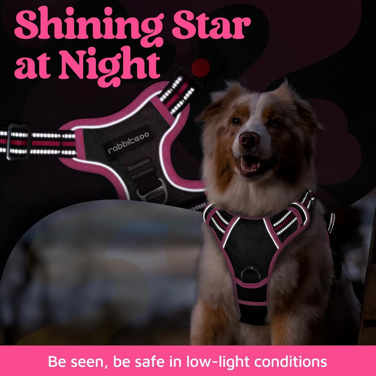 rabbitgoo Dog Harness Small Sized, No Pull Dog Vest with 3 Buckles, Adjustable Soft Padded Pet Harness with Easy Control Handle and Reflective Strips, Black & Rose Pink, S