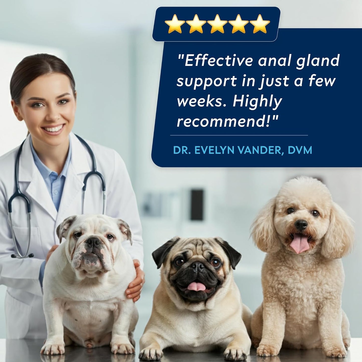 STRELLALAB Anal Gland Support Chews - Scoot Treatment - Digestive Enzymes, Prebiotics & Fiber Supplement for Dogs Digestion & Gut Health. Proprietary Blend of Beet, Psyllium, Dandelion & Pumpkin 120Ct - Pet Explorer