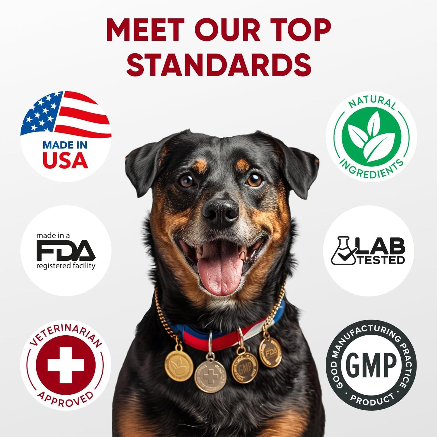 Probiotics for Dogs Digestive Health - Probiotic Chews for Gut Health, Itchy Skin Yeast, Diarrhea - USA Product - Immune Support Supplement - Dog Digestive Support & Allergy Relief Chews with Enzymes - Pet Explorer