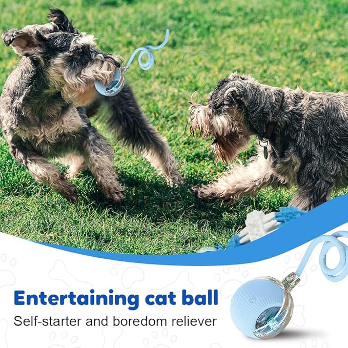 Smart Interactive Cat Toy Ball with Auto Obstacle Avoidance, 2 Mode Rolling Rechargeable Toy to Relieve Boredom, Quiet Durable Toy for Indoor Cats (Yellow)