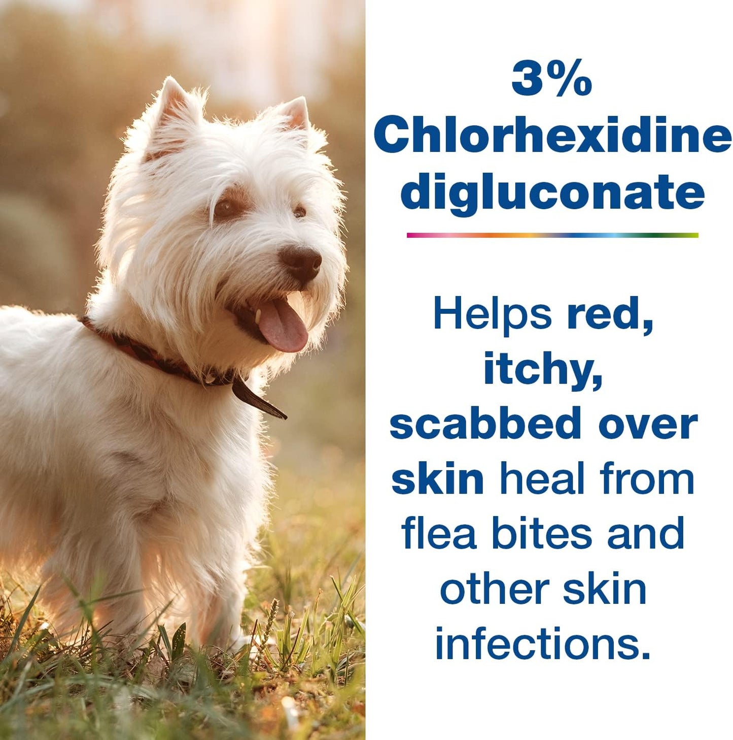 Douxo S3 Pyo Mousse, Contains 3% Chlorhexidine & 0.5% Ophytrium, Antiseptic & Hydrating, for Bacterial or Yeast Skin Infections, for Dogs, 5.1 fl. oz. (150mL) - Pet Explorer