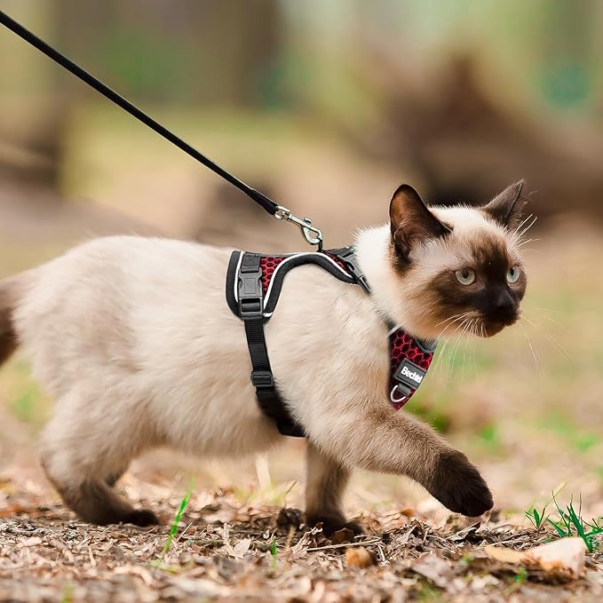 Cat Harness and Leash for Walking Escape Proof Soft Adjustable Cat Leash Breathable Honeycomb Structure Comfortable Vest Easy to Wear Kitten Harness for Outdoor Travel, Honeycomb Red, XXS