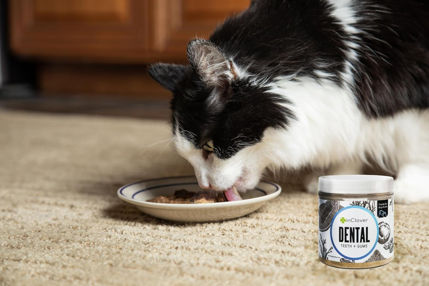 InClover Dog and Cat Dental Powder for Teeth Cleaning and Enamel and Gum Health, Natural Pet Supplement, Breath Freshener - Naturally Flush Away Tartar, No Brushing Necessary - Pet Explorer