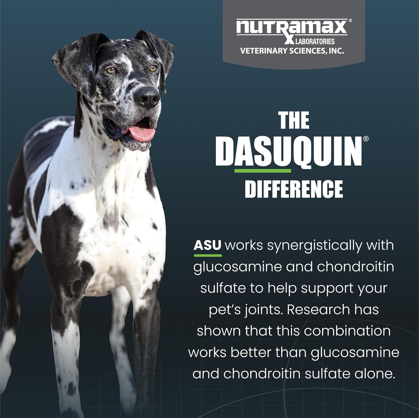 Nutramax Dasuquin for Large Dogs, Joint Health Supplement, Contains Glucosamine for Dogs, Plus Chondroitin, ASU and More, Supports Healthy Joints, Soft Chews, 150 Count - Pet Explorer