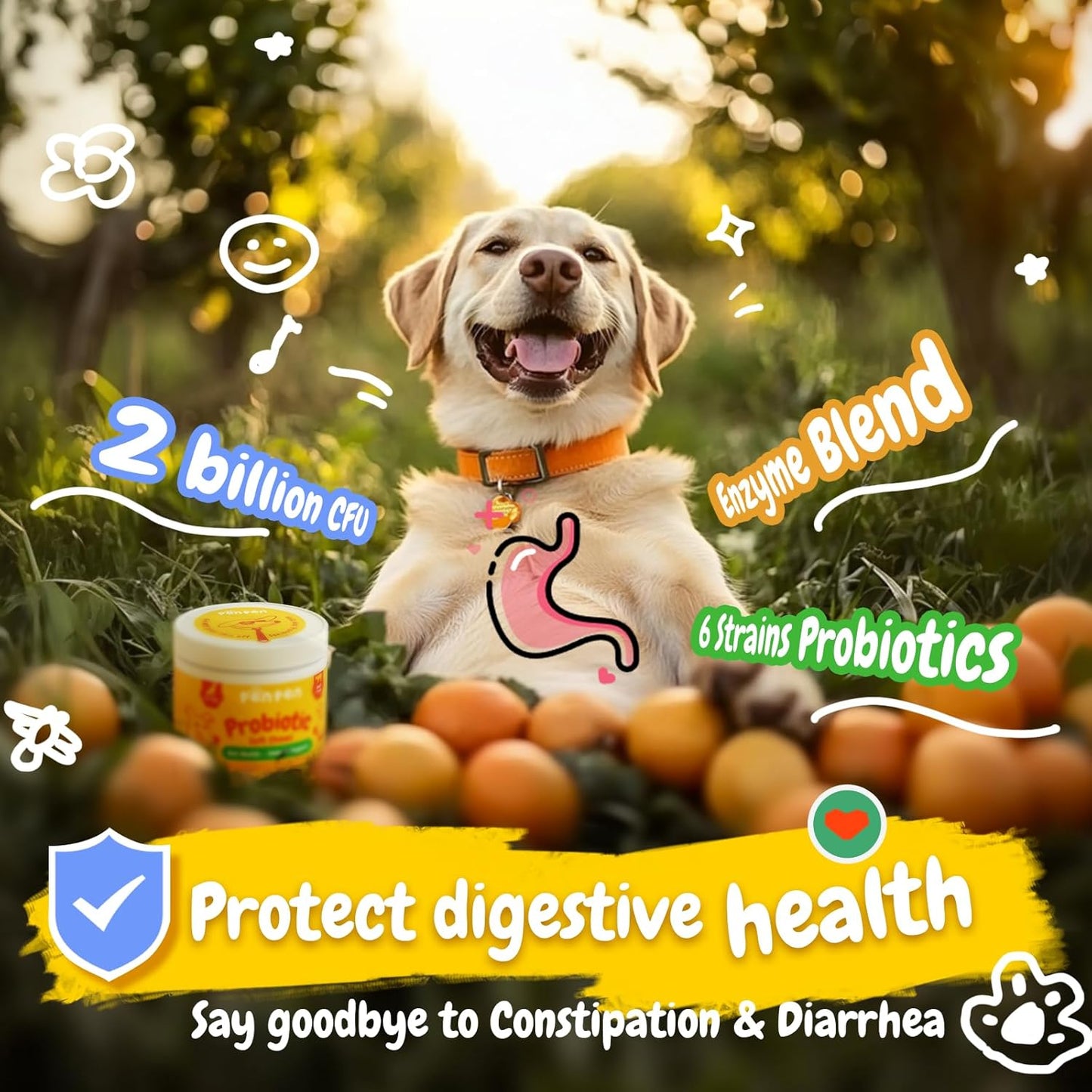Penpen Probiotics for Dogs, Dogs Probiotics for Digestive Health, Multi-Probiotic and Enzyme Blend Promote Gut Health & Immune Support, Eases Sensitive Stomachs (Beef Chews, 180ct) - Pet Explorer