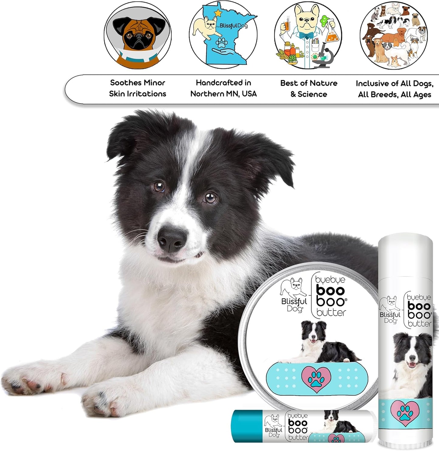 The Blissful Dog 1 oz TIN Border Collie Booboo Butter - Pet Explorer