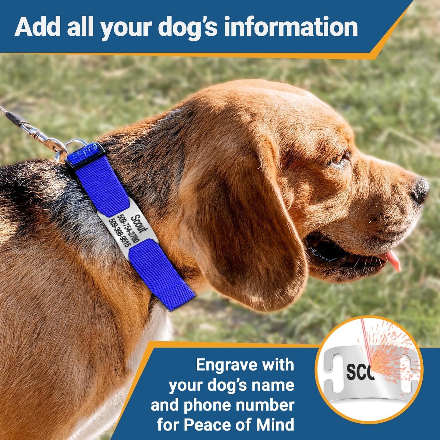 GoTags Personalized Dog Collar with Nameplate, Adjustable Dog Collar with Custom Engraved Slide On Pet ID Tag in Stainless Steel, Silent, No Noise Dog Tag for Large Medium and Small (Red, Medium)