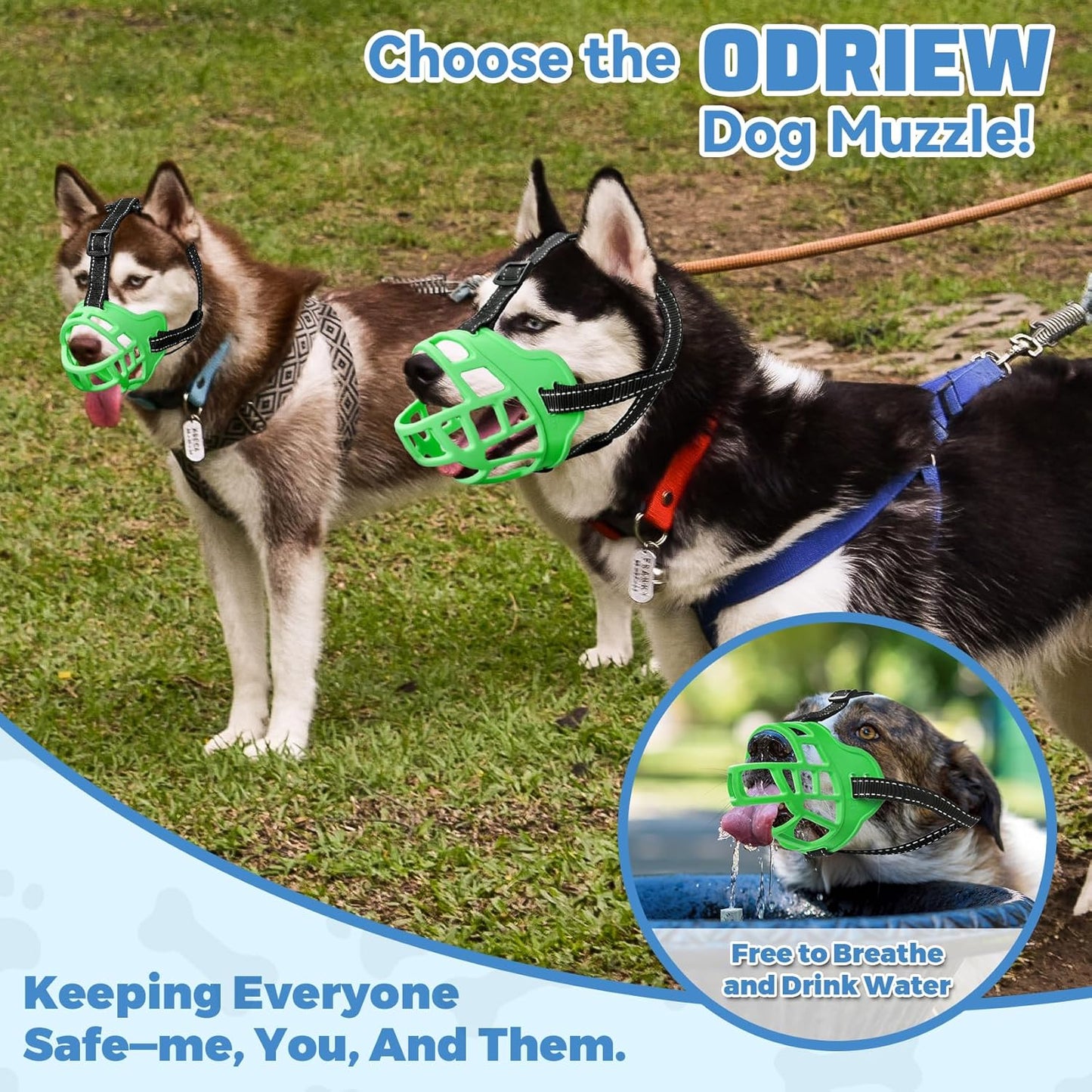 Dog Muzzle for Large Dogs, Breathable Basket Muzzles for Small, Medium and X-Large Aggressive Dog, Allows Panting Drinking, Suitable for Grooming Trimming Training (3, Luminous Green) - Pet Explorer