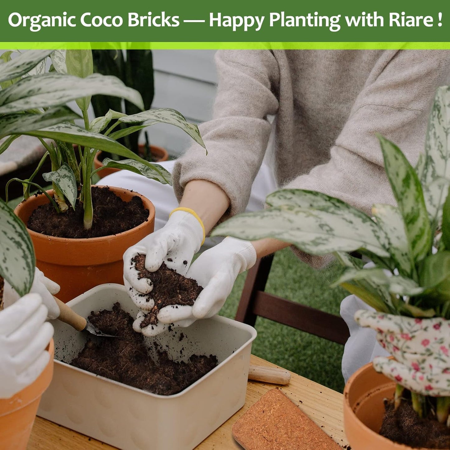 Riare 4pcs Organic Coco Coir Bricks Soil Blocks- 100% Natural Compressed Coco Peat Brick Coconut Fiber Substrate with Low EC& pH Balance, High Expansion Coco Coir Pith Coconut Husk for Garden - Pet Explorer