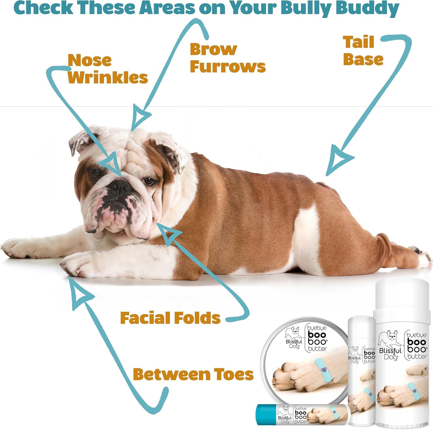 Coton De Tulear Boo Boo Butter, 8 oz - Pet Explorer