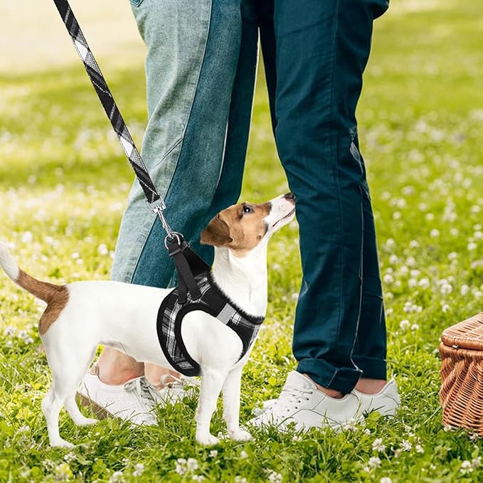 PUPTECK Adjustable Dog Harness Collar and Leash Set Step in No Pull Pet Harness for Small Medium Dogs Puppy and Cats Outdoor Walking Running, Soft Mesh Padded Reflective Vest Harnesses, Black XXS