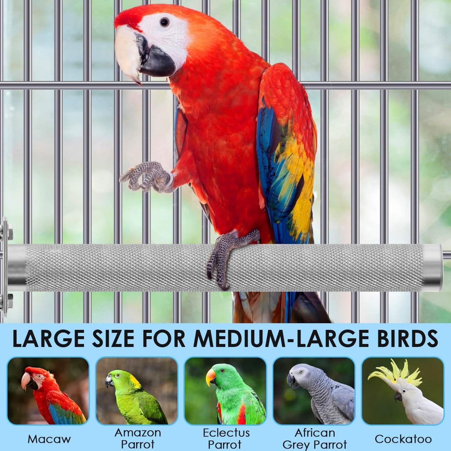 KATUMO Bird Perch - Stainless Steel - Rough Surface Stand for Small to Medium Parrots (9.8 x 1.0 inch)