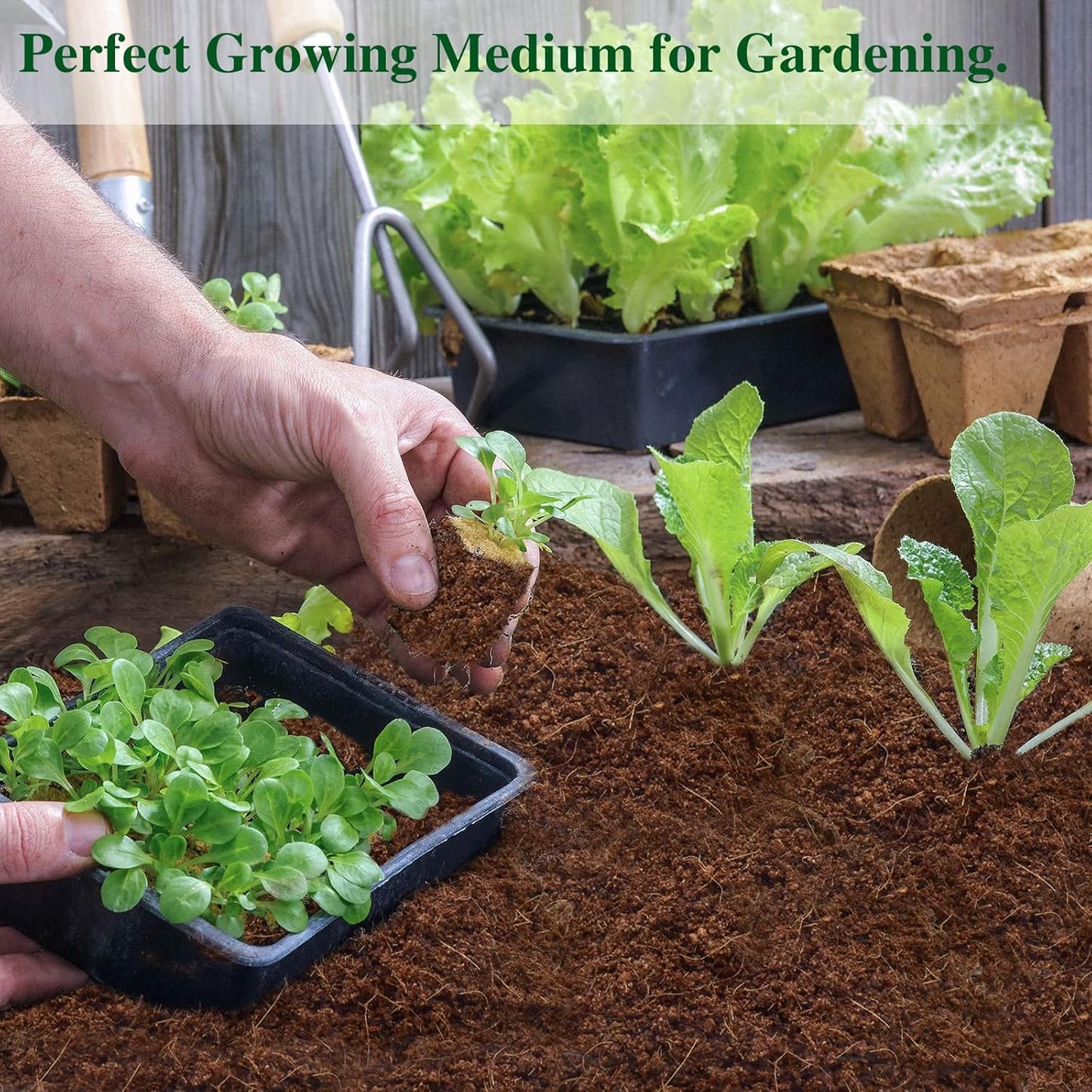 ZeeDix 10 Pack Premium Coco Coir Brick, Organic Compressed Coconut Coir Bricks Seed Starter Potting Soil for Plants, Coconut Fiber Substrate with Low EC & pH Balance for Gardening Flower Herbs - Pet Explorer