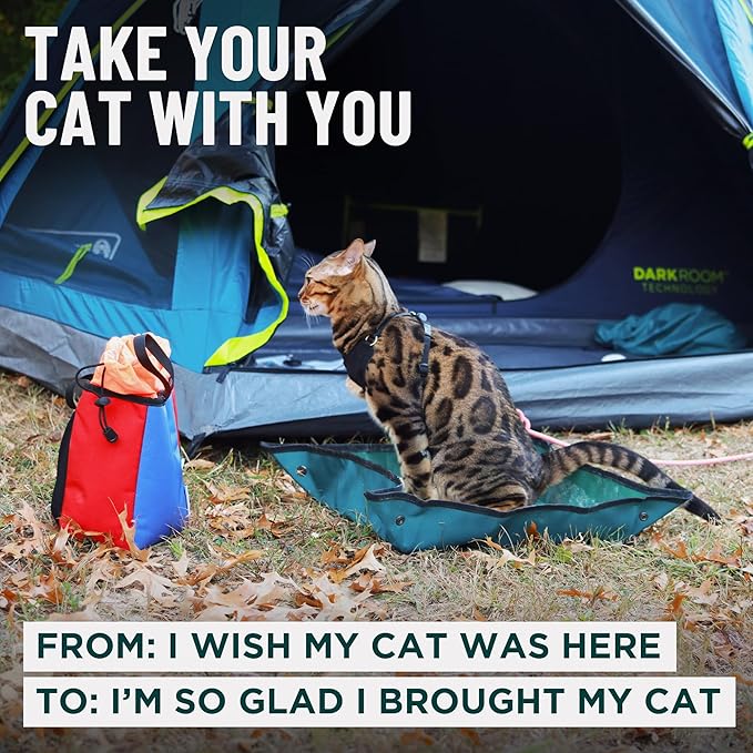 OutdoorBengal Travel Litter Box for Cats Small & Foldable - Non-Stick Portable Litter Box for Cat Traveling, No-Mess, Collapsible Litterbox (Essentials Traveling with Cats by Car, Plane, and Camping)