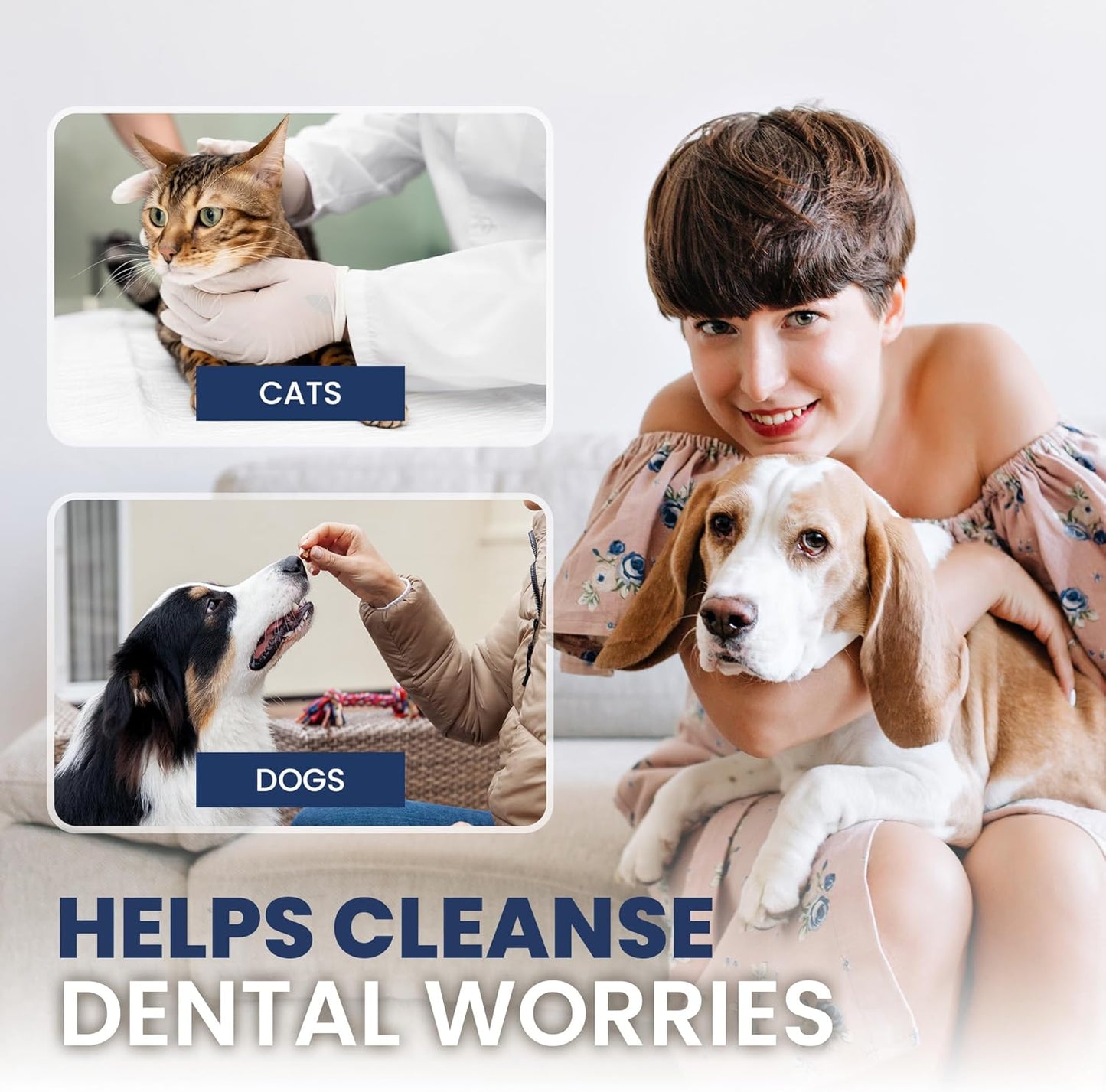 Rad Health Dental Kit - Dog Toothbrush and Toothpaste Kit for Daily Oral Care, Dual Brushes for Deep Cleaning, Safe for Cats & Dogs, Reduces Bad Breath, Prevents Gum Disease - Pet Explorer