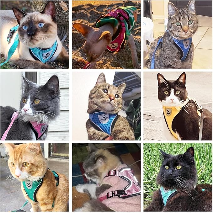 PUPTECK Cat Harness and Leash Set Escape Proof Reflective Cat Walking Harness Adjustable Soft Breathable Mesh Vest for Small Pets, Purple, XS