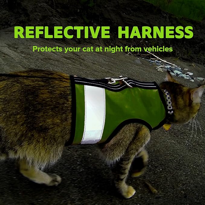 Kitty Holster Reflective Cat Harness – High-Visibility Cat Harness for Travel, Day and Night Walking - Soft Cotton Cat Accessories, Breathable, Secure & Washable, Made in USA - Loud Lime, M to L
