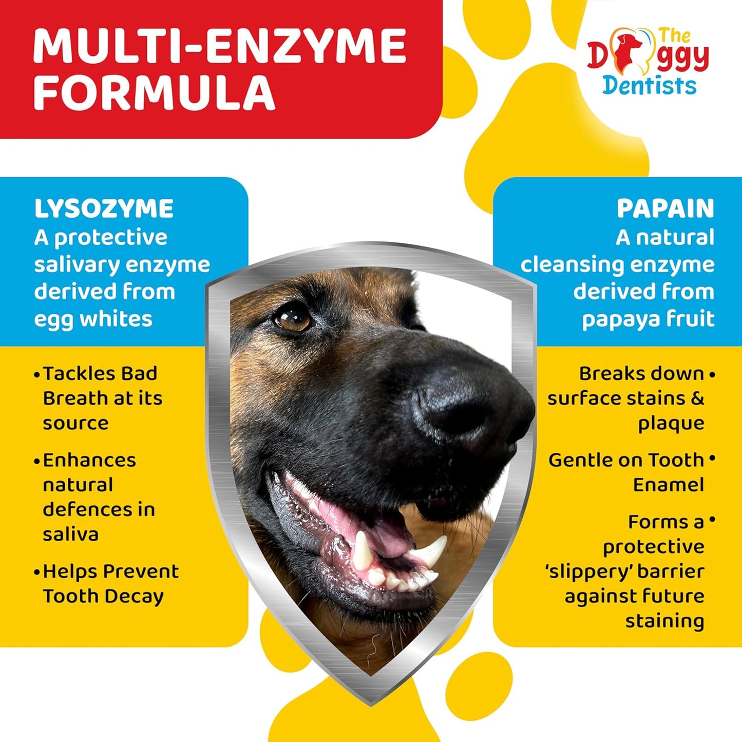 Vet Strength Pure Enzymatic Dog & Cat Toothpaste | 3.5oz Beef Flavor | Enzyme Pet Toothpaste for Tartar Removal, Bad Breath, Teeth Cleaning | Suitable for Puppies & Kittens - Pet Explorer