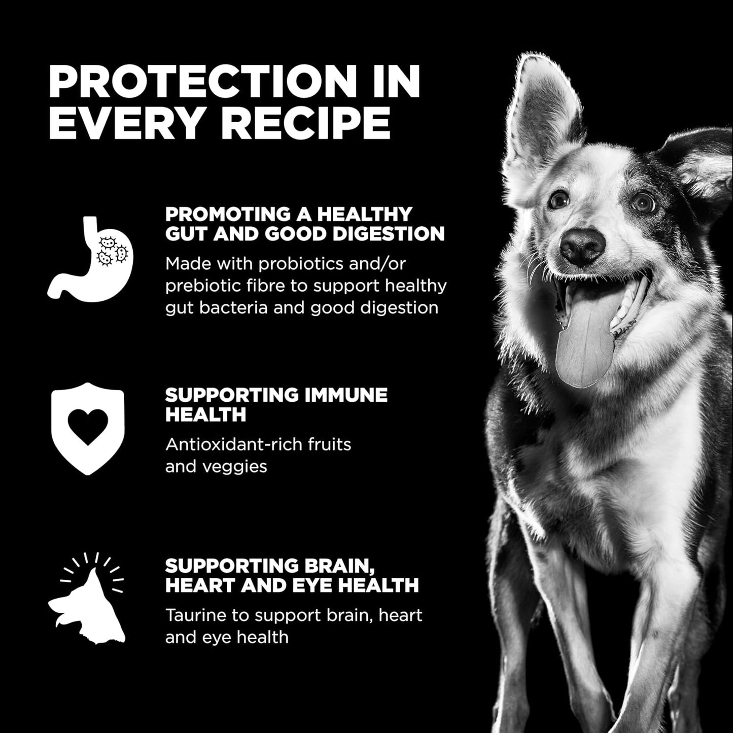 Go! Solutions Sensitivities Limited Ingredients, Grain-Free Dry Dog Food, Duck Recipe for Sensitive Stomach, 3.5 lb Bag