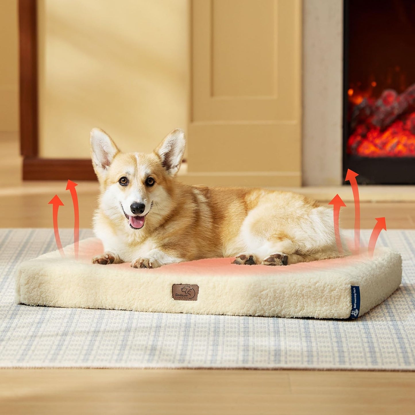 Bedsure Self Warming Dog Bed for Medium Dogs - Orthopedic Waterproof Puppy Beds with Removable Washable Cover, Egg Crate Foam Pet Mat, Suitable for Pet Up to 35 lbs - Pet Explorer