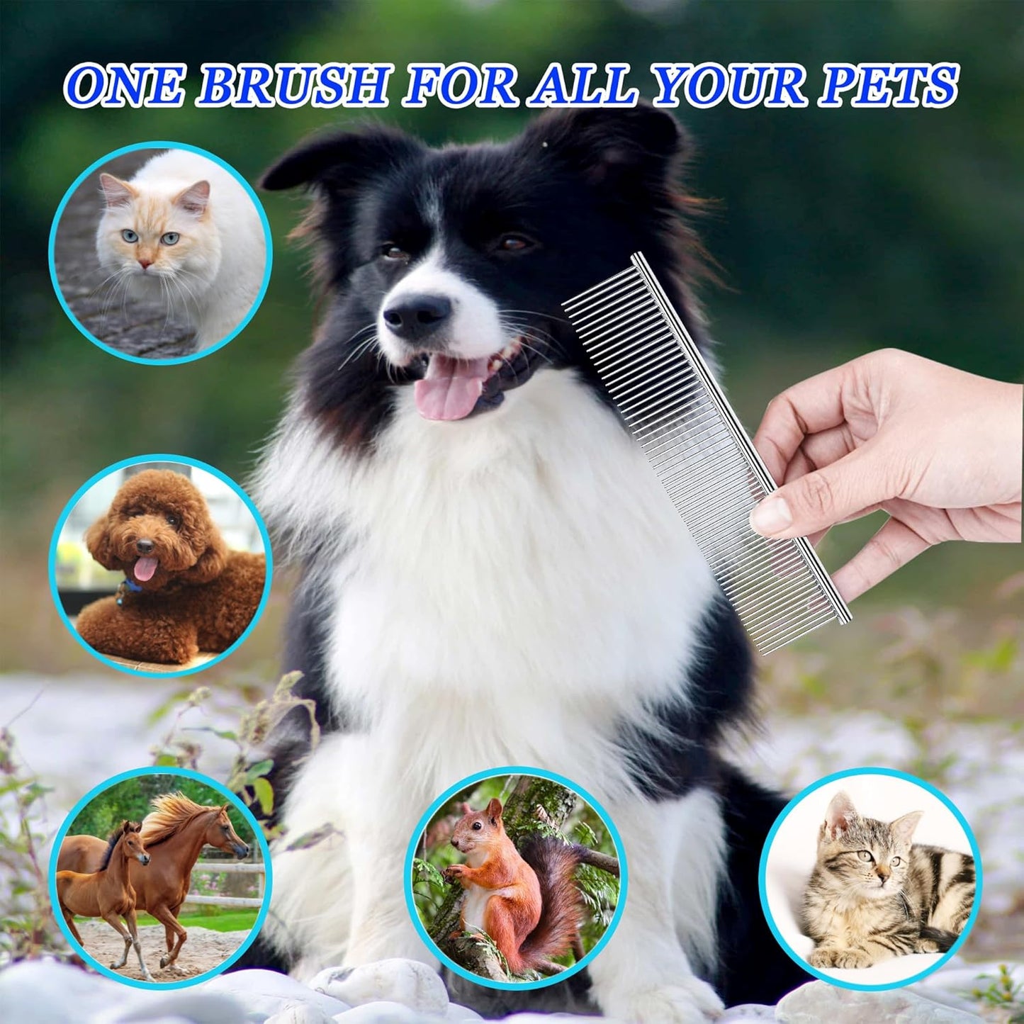 Dog Comb and Cat Combs Stainless Steel Teeth, Grooming Tool for Long & Short Hair, Dematting Comb for Dogs, Removes Tangles & Knots (Large Silver)