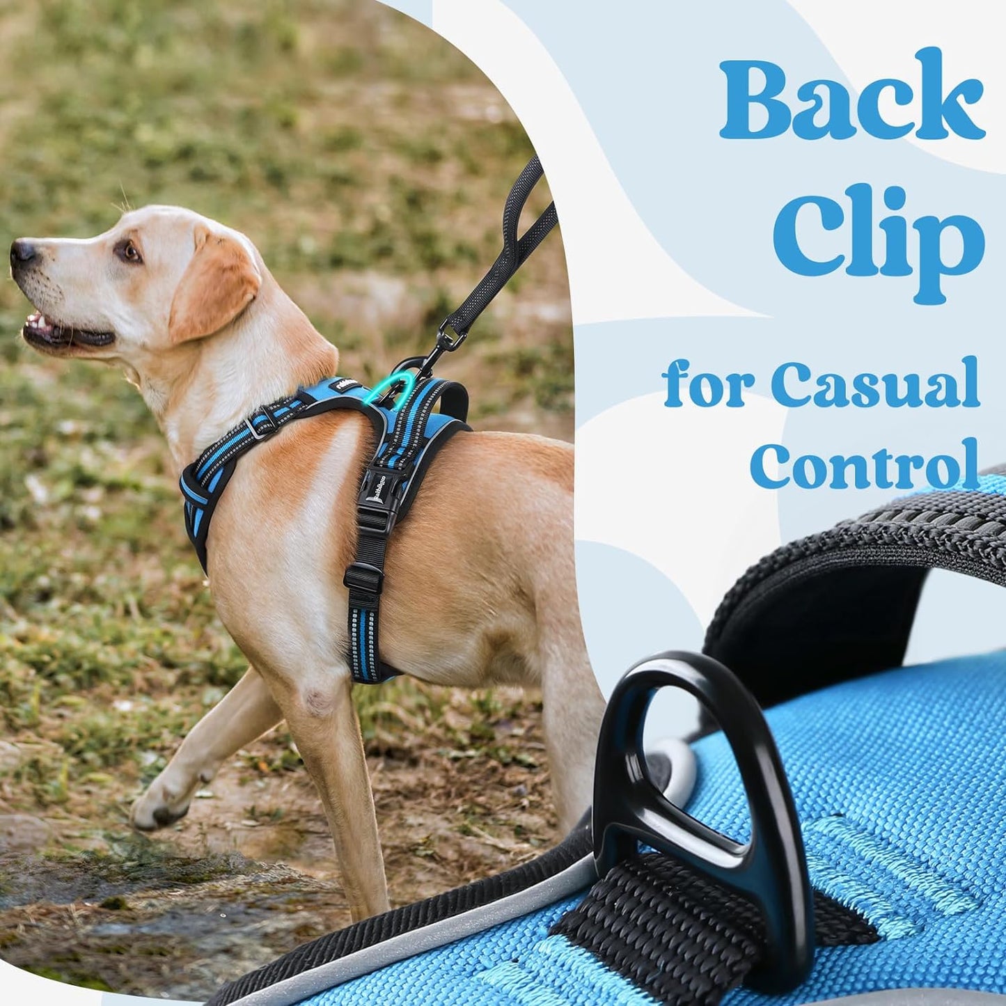 rabbitgoo Dog Harness Small Sized, No Pull Pet Harness with 3 Buckles, Adjustable Soft Padded Vest with Control Handle, Walking Reflective Pet Vest for Small Dogs, Sky Blue, S